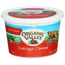 Organic Valley Organic Cottage Cheese, 16 Ounce -- 6 per case