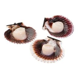 Product thumb gallery 3076872