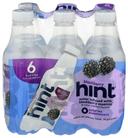 Hint Blackberry Essence Water, 16 Fluid Ounce - 6 per pack -- 4 packs per case