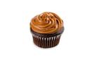 Brill Caramel Salted Icing, 14 Pound.