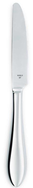 World Tableware Ada Stand Up Dinner Knife, 9 inch -- 12 per case.