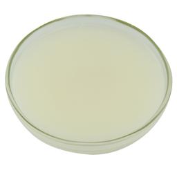 Product thumb gallery 1611545