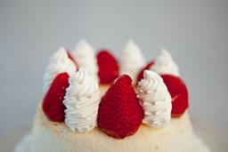 Product thumb gallery 1702096