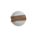 Polidori Sausage 4:1 Cooked Skinless Bratwurst Beer 10 inch Sausage Link, 10 Pound - 2 per case