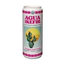 Gts Dragon Fruit Fresa Agua De Kefir, 12 Fluid Ounce -- 12 per case