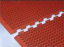 Cactus Mat Beveled Edge Red Mat.