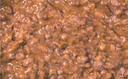 Naughty Chile Taqueria Pinto Bean Quickie Burrito Mix, 5 Pound -- 4 per case