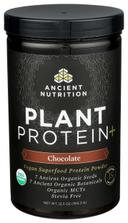Ancient Nutrition Organic Chocolate Plant Protein Plus Powder, 12.5 Ounce