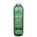 Chlorophyll Water Enhanced Purified Mountain Spring Water, 16.9 Fluid Ounce -- 12 per case