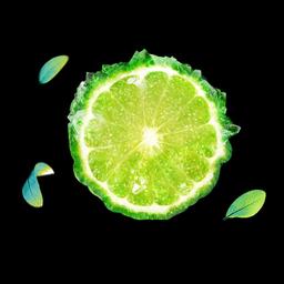 Product thumb gallery 4304604