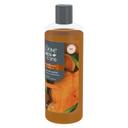 Dove Men Plus Care Sandalwood Plus Cardamom Oil Body Wash, 18 Ounce -- 4 per case