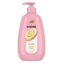 Dove Lemon Cookie Liquid Hand Wash, 12 Ounce -- 4 per case