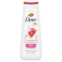 Dove Watermelon and Guava Nectar Body Wash, 20 Ounce -- 4 per case