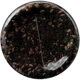 Product thumb gallery 3941088