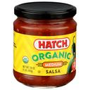 Hatch Medium Salsa, 16 Ounce -- 8 per case