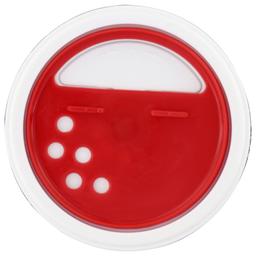 Product thumb gallery 4067058
