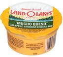 Land O Lakes Mucho Queso Jalapeno Cheddar Cheese Dip, 3 Ounce Cup -- 140 per case.