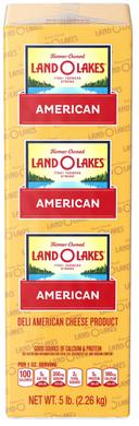 Land O Lakes Yellow Deli American Cheese Product, 5 Pound -- 2 per case