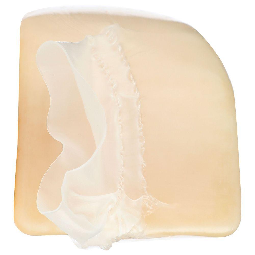 Product gallery 3240329