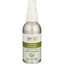 Aura Cacia Aromatherapy Clearing Eucalyptus Room and Body Mist, 4 Ounce -- 3 per case
