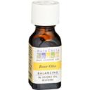 Aura Cacia Rose Otto in Jojoba Essential Oil, 0.5 Ounce