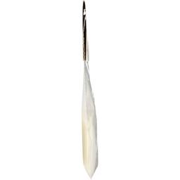 Product thumb gallery 3952620