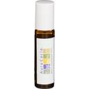 Aura Cacia Amber Roll On Essential Oil Bottle with Writable Label, 0.31 Ounce -- 3 per case
