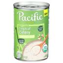 Pacific Foods Organic Cream Of Celery Condensed Soup, 10.5 Fluid Ounce -- 12 per case