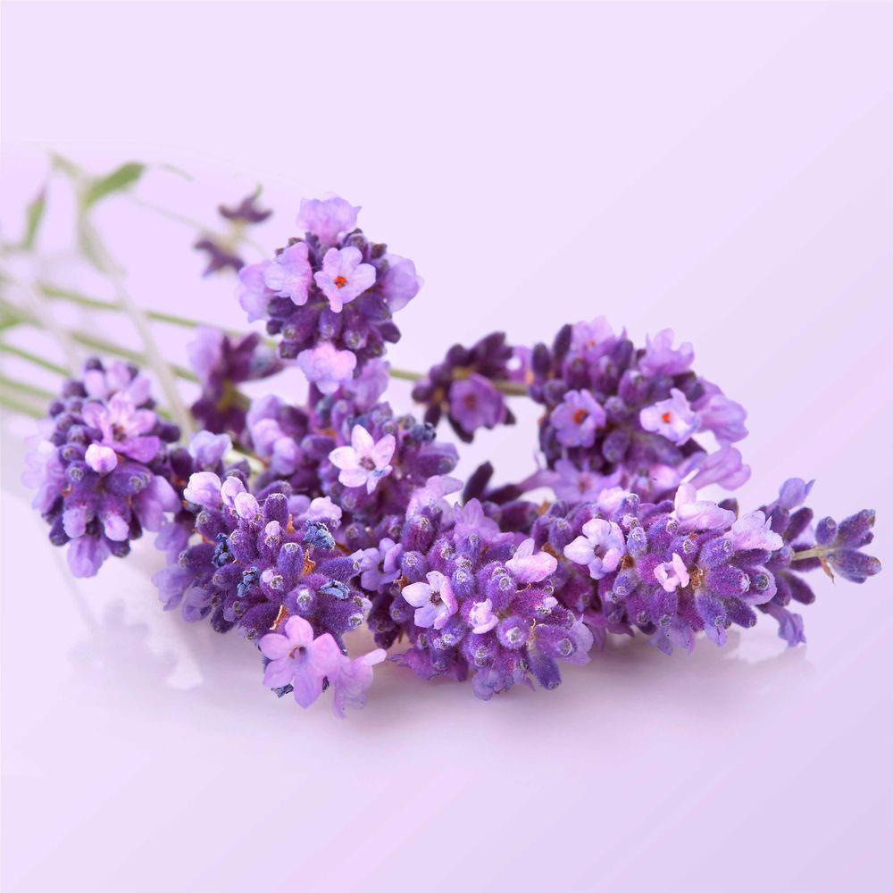 Product gallery 4333569