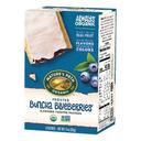 Natures Path Blueberry Frosted Toaster Pastry, 11 Ounce -- 12 per case.