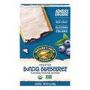 Natures Path Blueberry Frosted Toaster Pastry, 11 Ounce -- 12 per case.