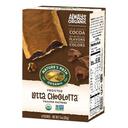 Natures Path Chocolate Frosted Toaster Pastry, 11 Ounce -- 12 per case.