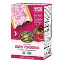 Natures Path Cherry Pomegranate Frosted Toaster Pastry, 11 Ounce -- 12 per case.