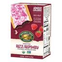 Natures Path Raspberry Frosted Toaster Pastry, 11 Ounce -- 12 per case.