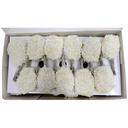 Singleton Seafood 16/20 Breaded Coconut Clean Tail Butterfly Shrimp -- 4 per case.