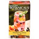 Bigelow Blueberry Citrus Basil Herbal Infusion Tea Bag, 1.31 Ounce -- 6 per case