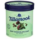 Tillamook Mint Chocolate Chip Ice Cream, 1.5 Quart -- 6 per case