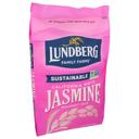 Lundberg Family Farms California White Jasmine Rice, 10 Pound