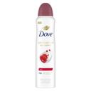 Dove Advanced Care Revive Antiperspirant Deodorant Spray, 3.8 Ounce -- 12 per case