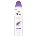 Dove Advanced Care Lavender Fresh Antiperspirant Deodorant Spray, 3.8 Ounce -- 12 per case