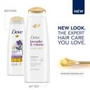 Dove Thickening Ritual Shampoo, 12 Fluid Ounce -- 6 per case.