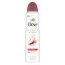 Dove Advanced Care Apple and White Tea Antiperspirant Deodorant Spray, 3.8 Ounce -- 12 per case