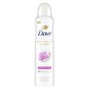 Dove Advanced Care Waterlily and Sakura Blossom Dry Spray Antiperspirant Deodorant, 3.8 Ounce -- 12 per case