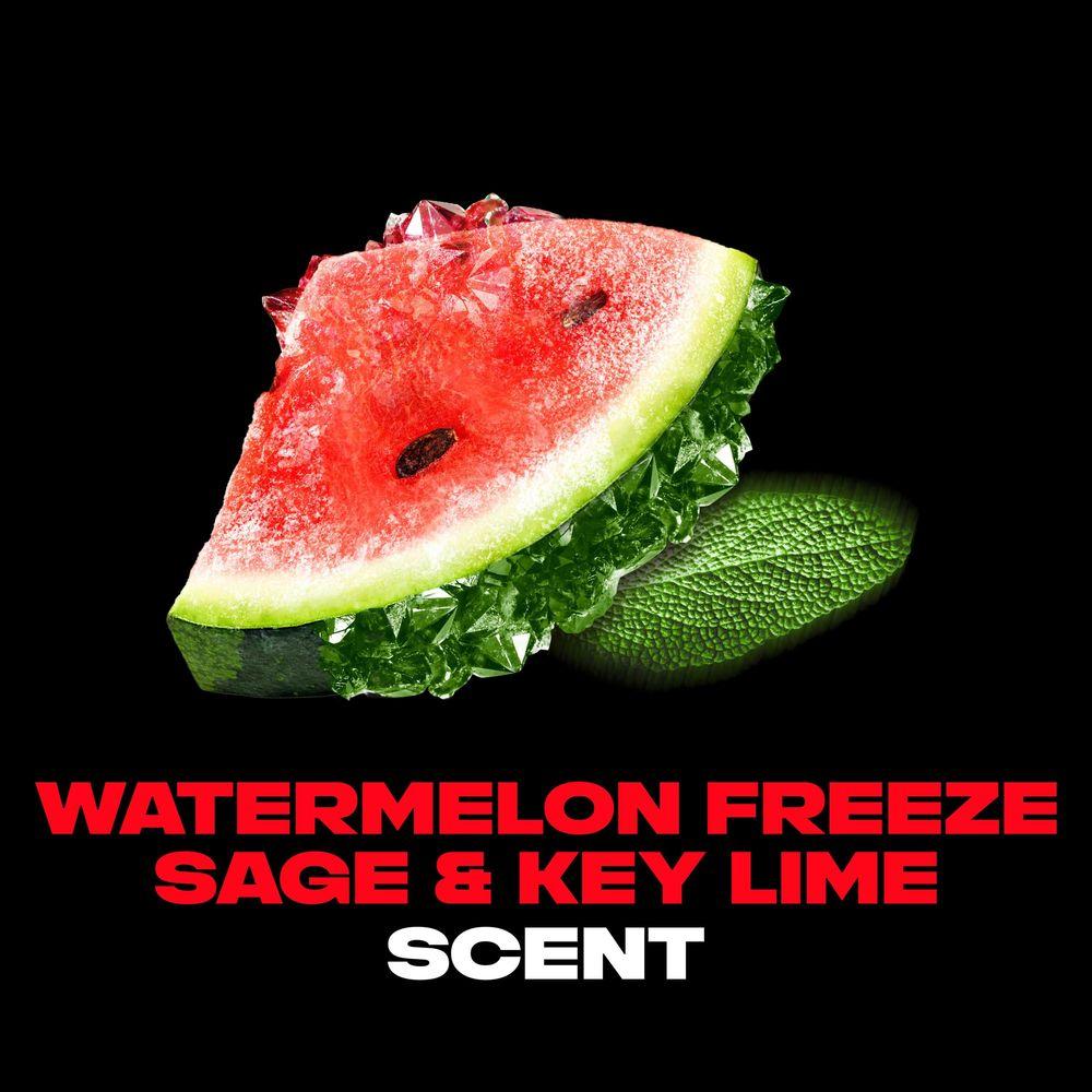 Product gallery 4341795