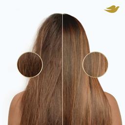 Product thumb gallery 946772123