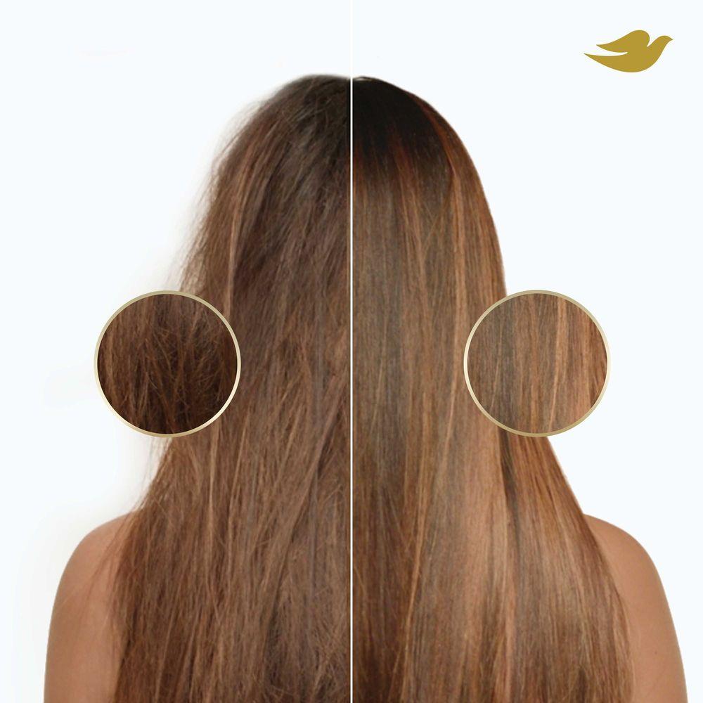 Product gallery 946772123