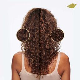 Product thumb gallery 4342737