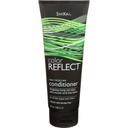 Shikai Color Reflect Daily Moisture Conditioner, 8 Ounce -- 3 per case