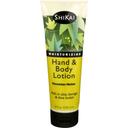 Shikai Cucumber Melon Hand and Body Lotion, 8 Ounce -- 3 per case