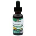 Natures Answer Alcohol Free Passion Flower Extract, 1 Ounce